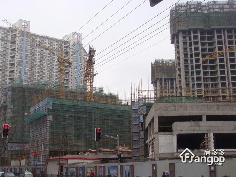 中福浦江汇图片