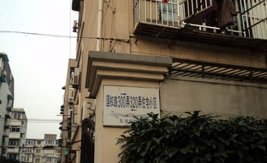 国权路300弄小区图片