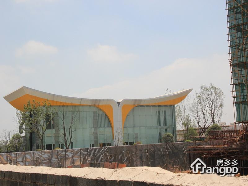 艾菲国际小区图片