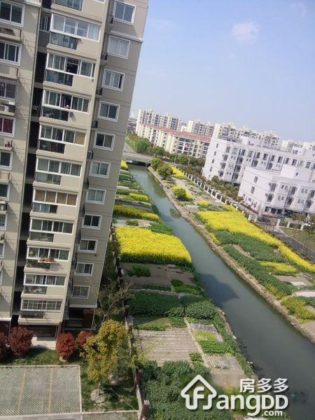 闵浦新苑二村(鹤坡南路56弄)小区图片