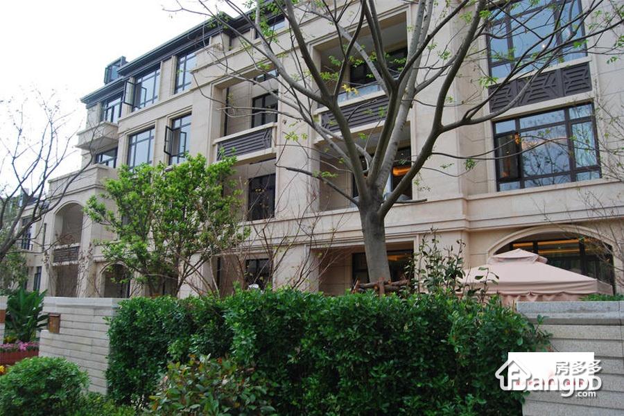 新弘国际城(公寓)小区图片