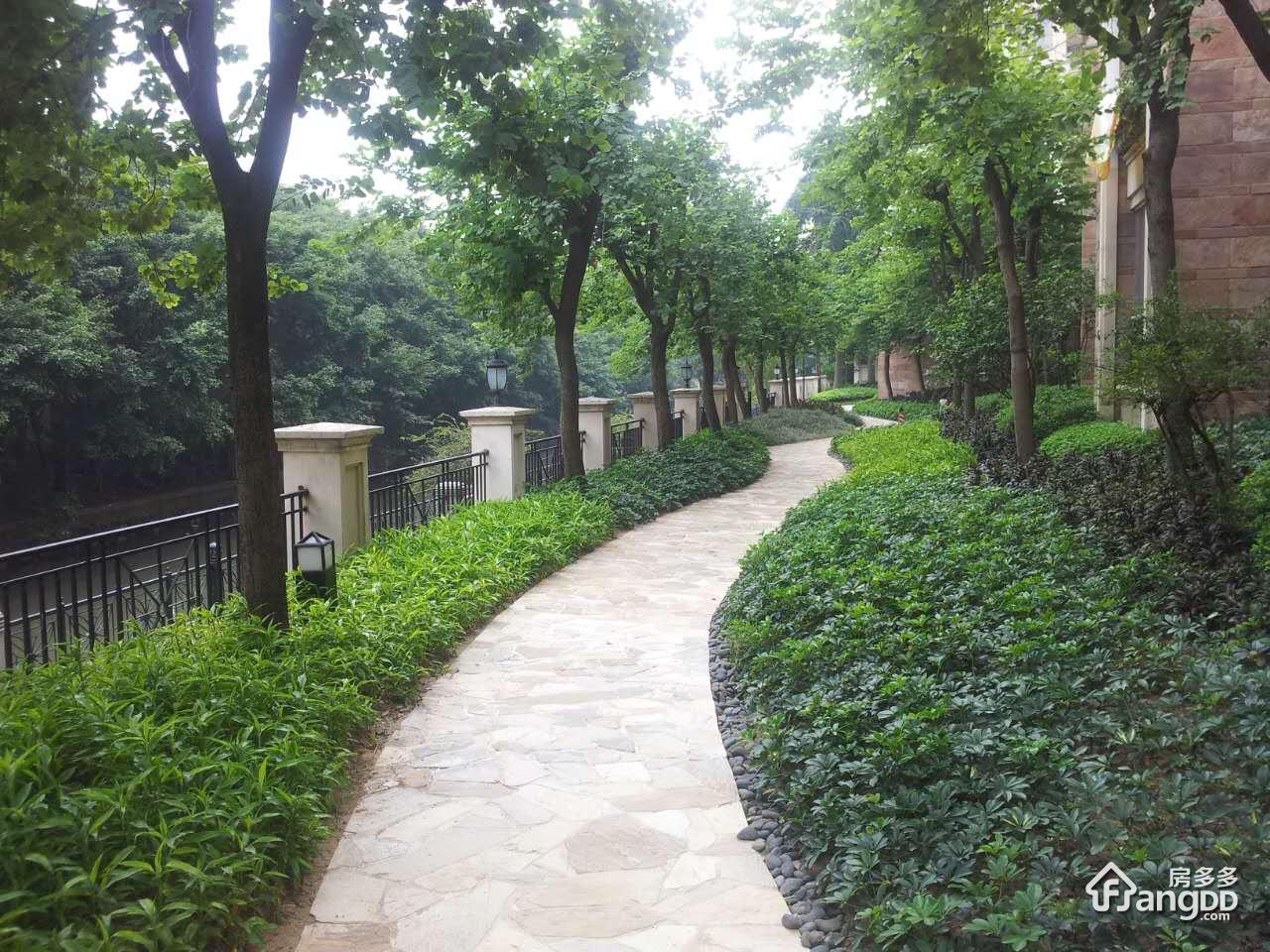 星河湾怡心园小区图片