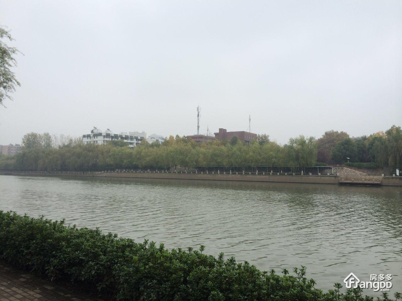 蓝天园图片