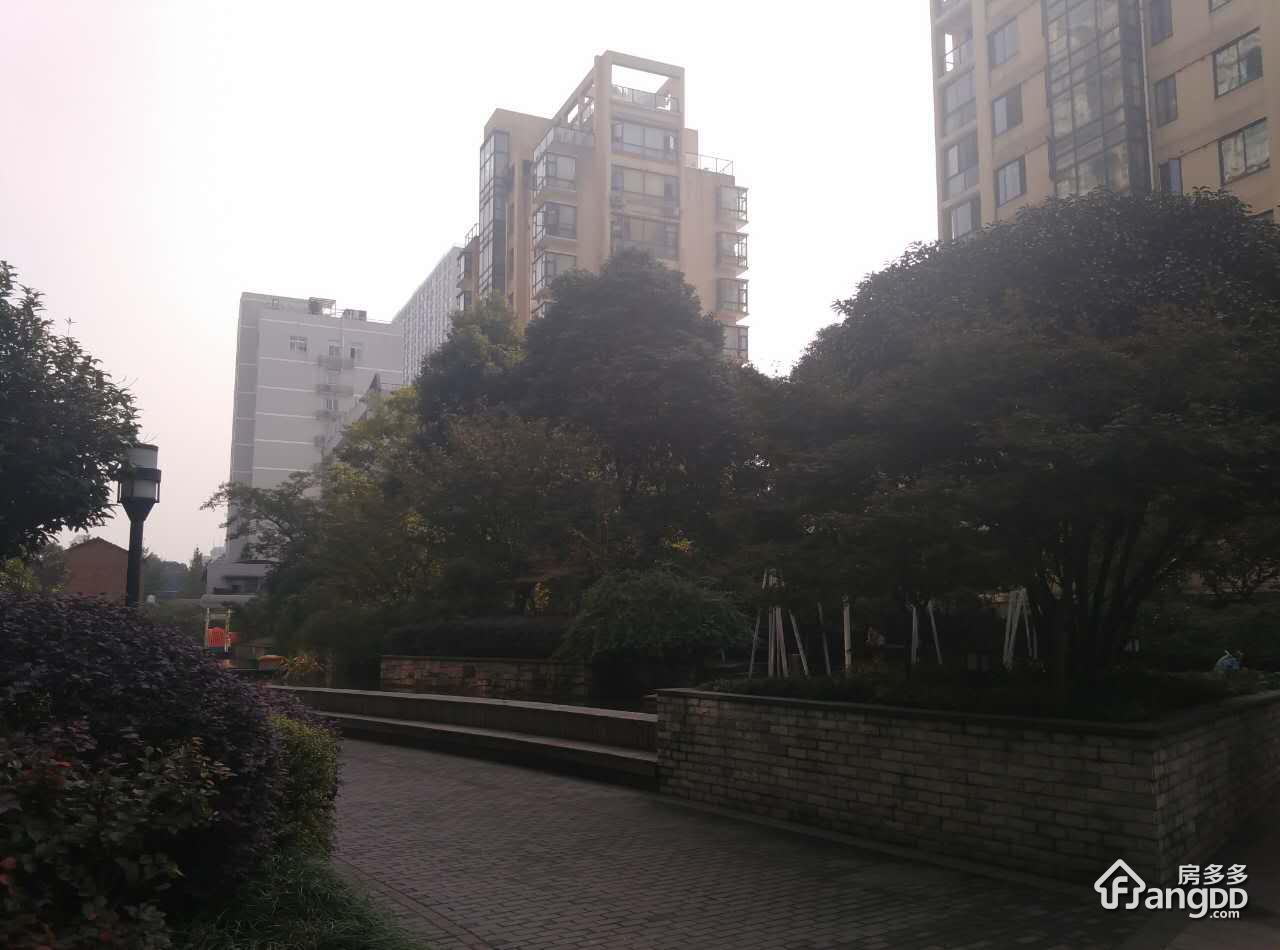 中豪晴园图片