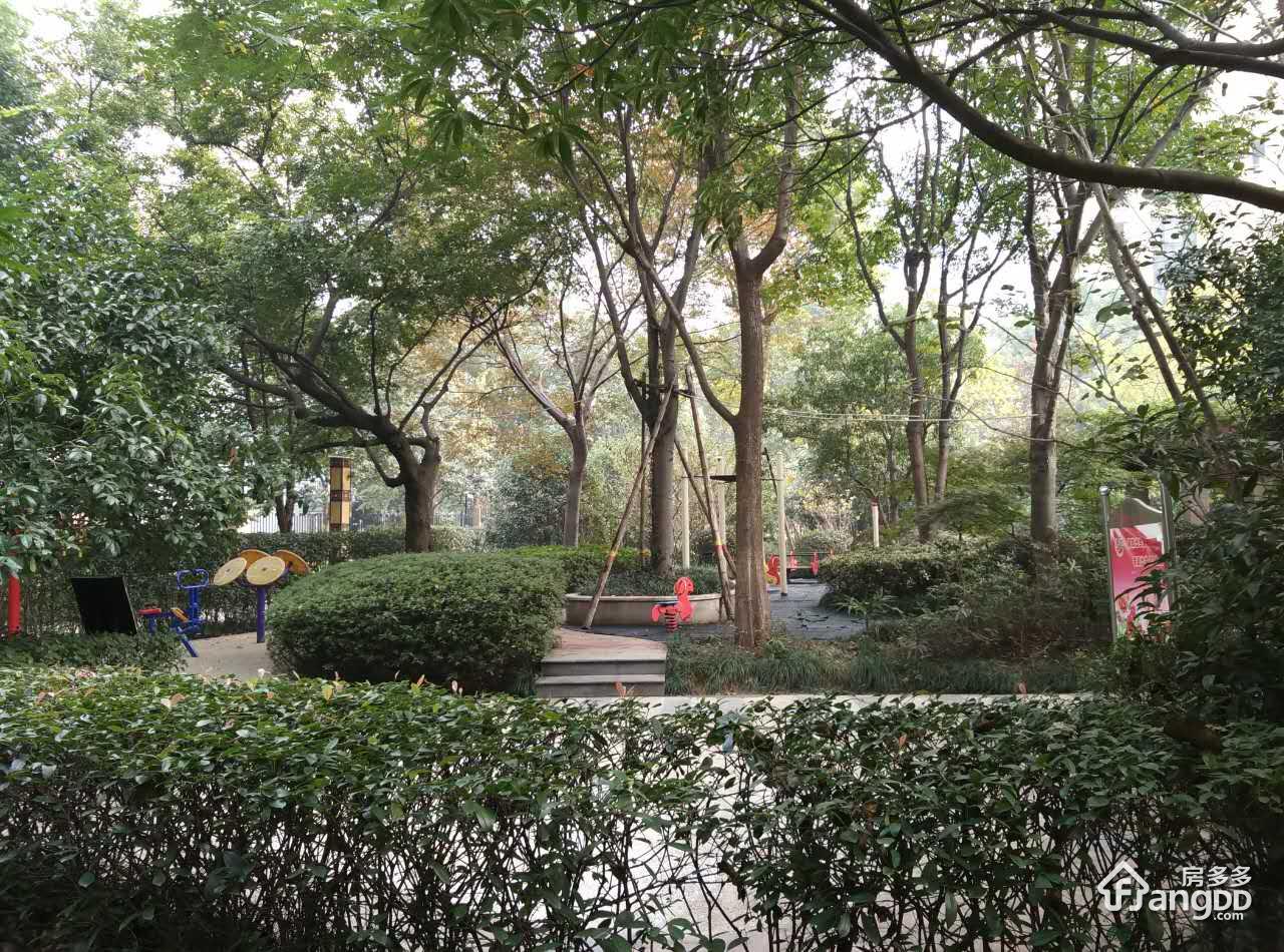 钱塘梧桐公寓小区图片