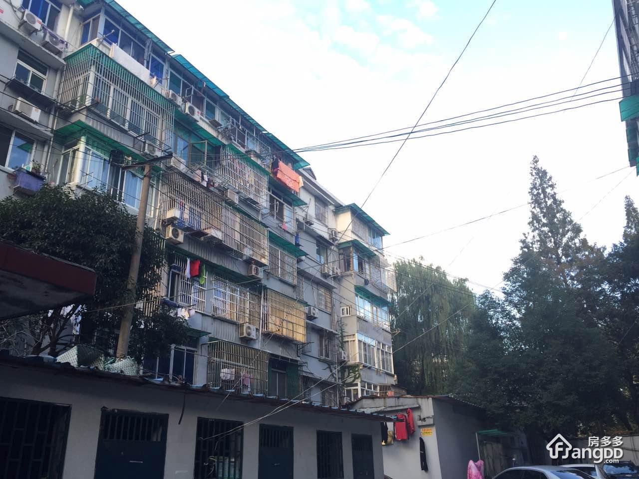 松木场河东图片
