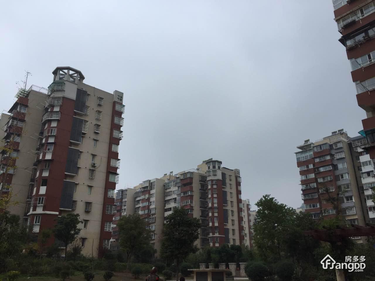 云谷山庄图片