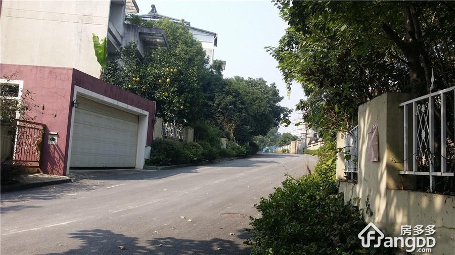 梦湖山庄图片