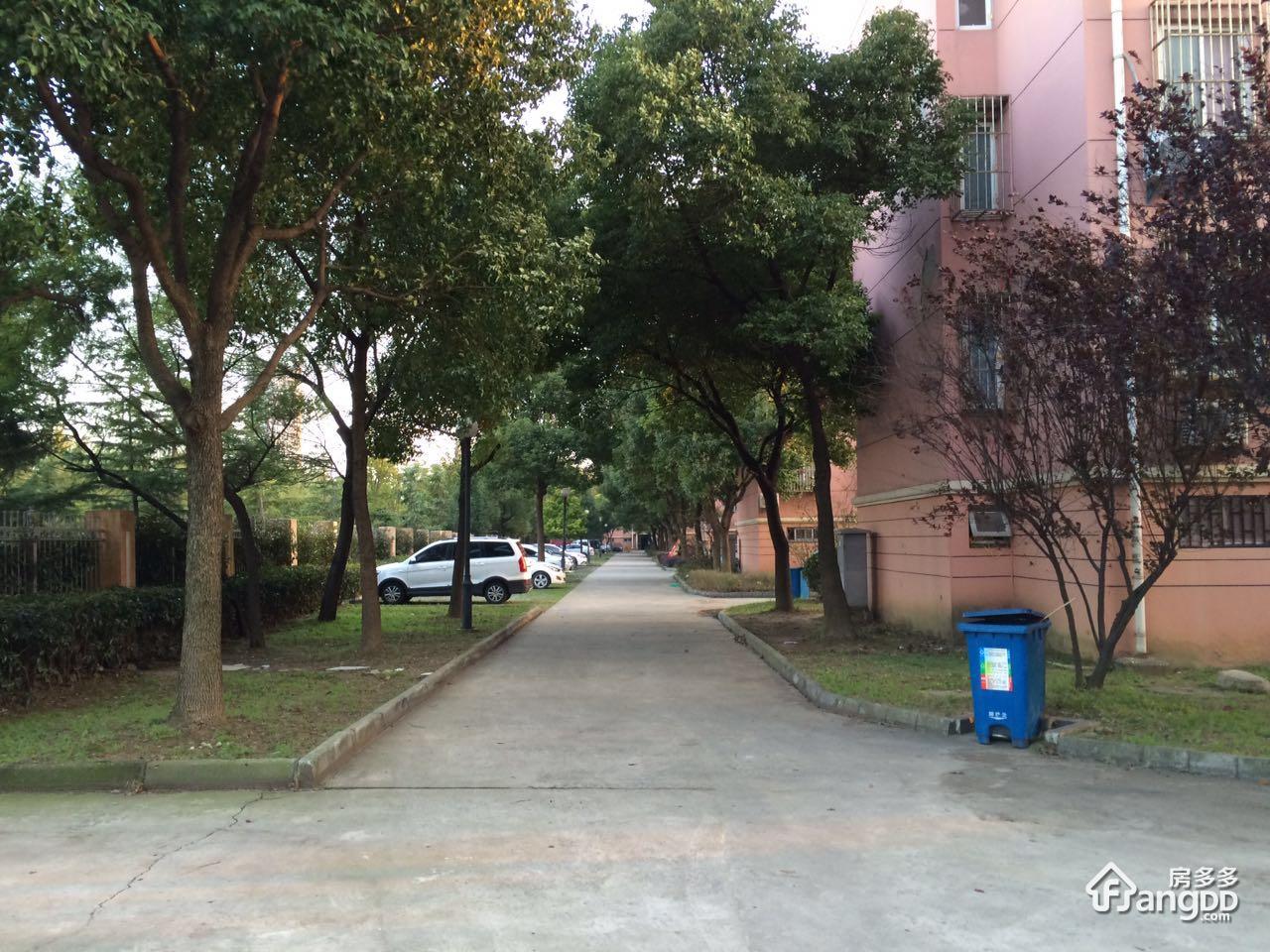 曙光苑图片