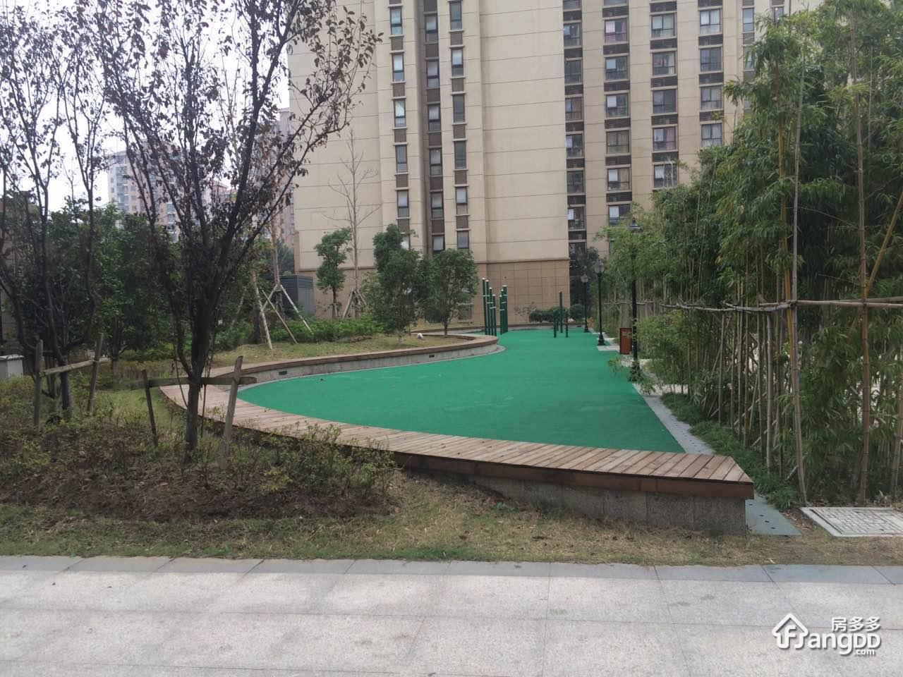 君地新大陆图片