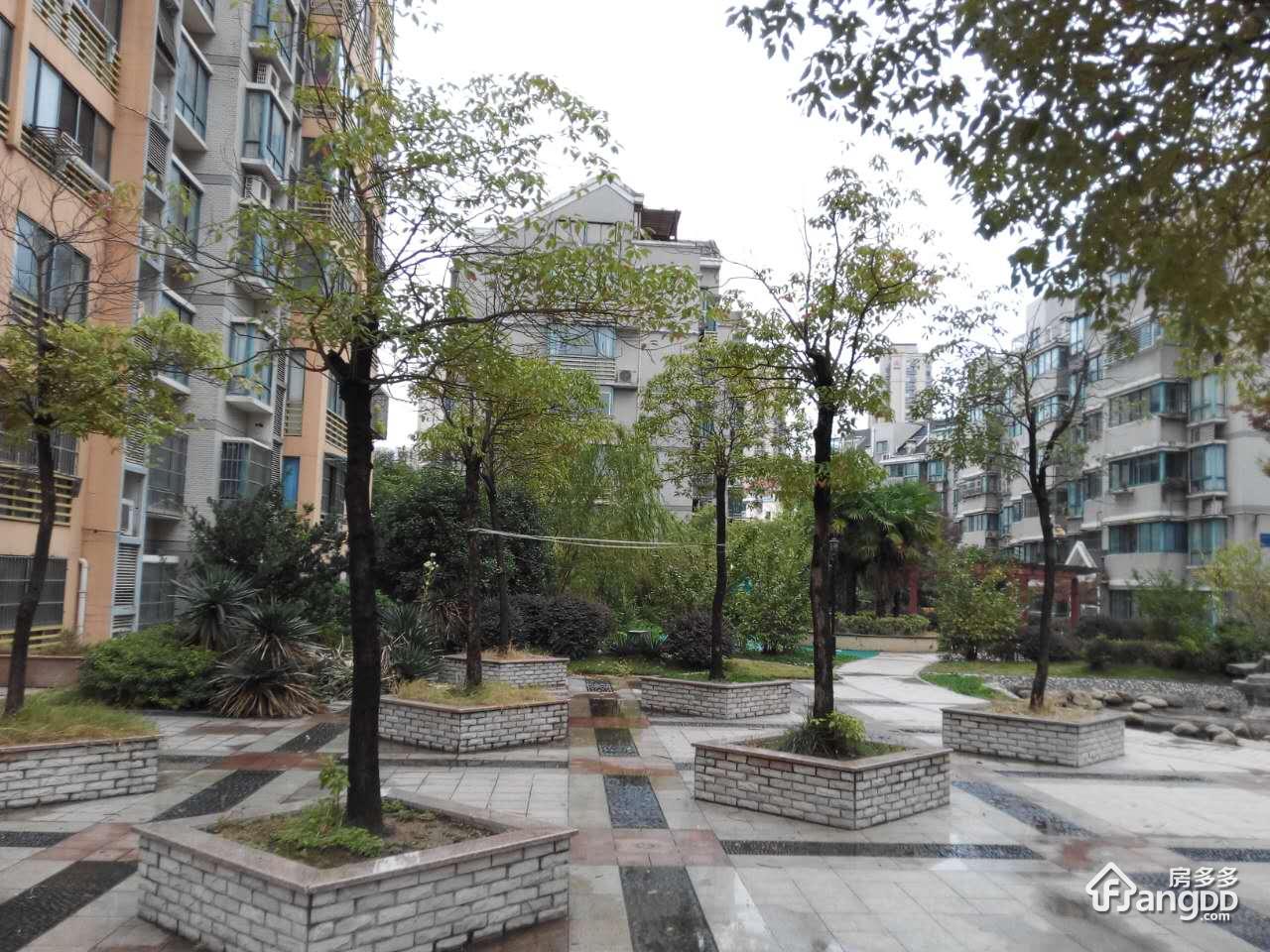 苏建艳阳居图片