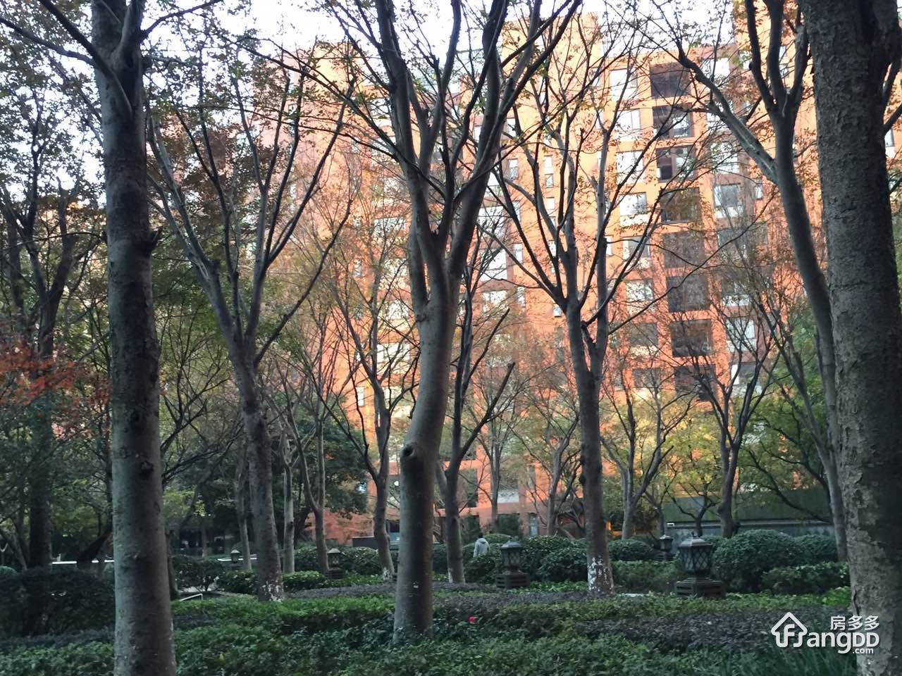 金地名京图片