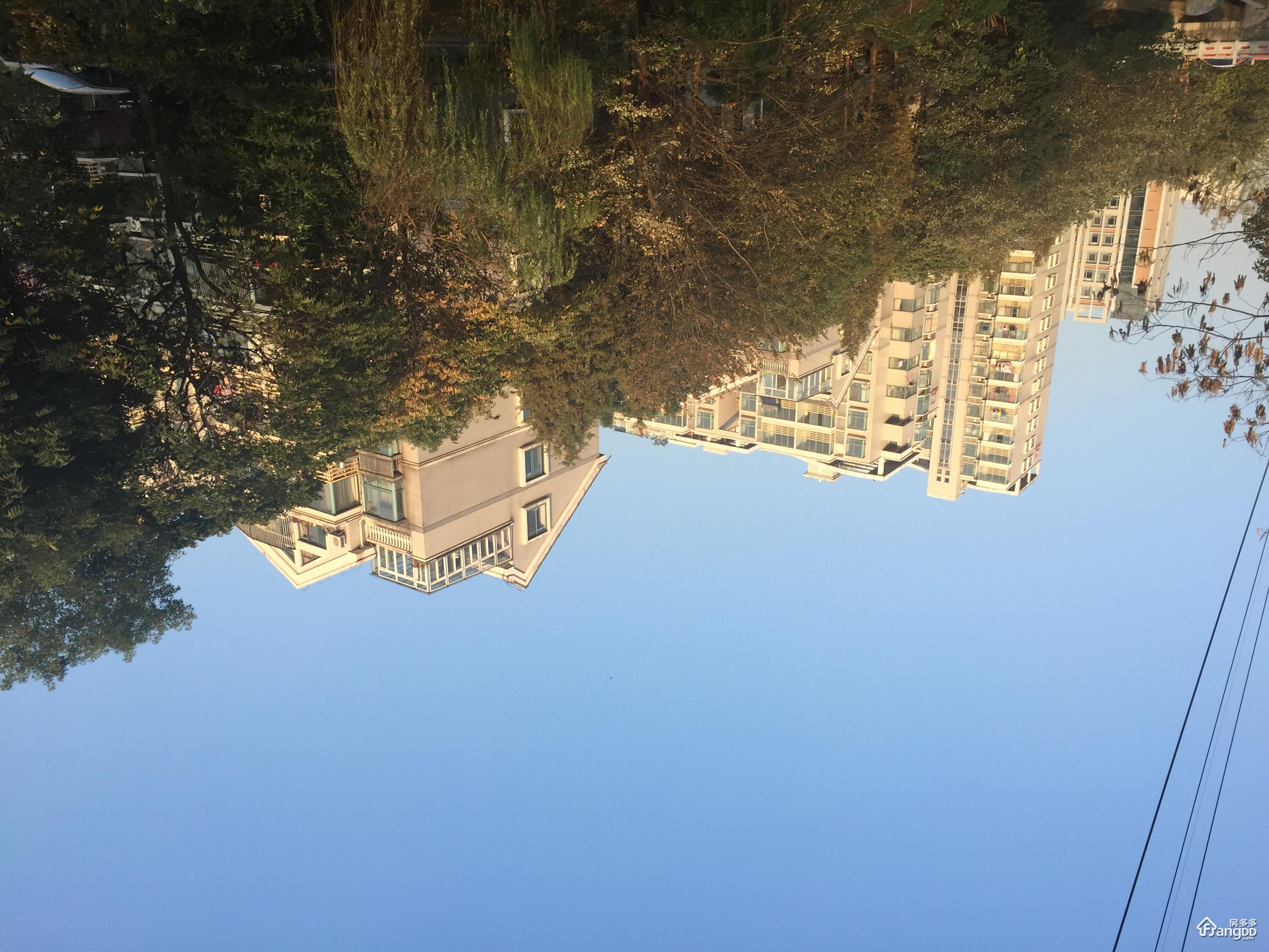 苏建豪庭图片