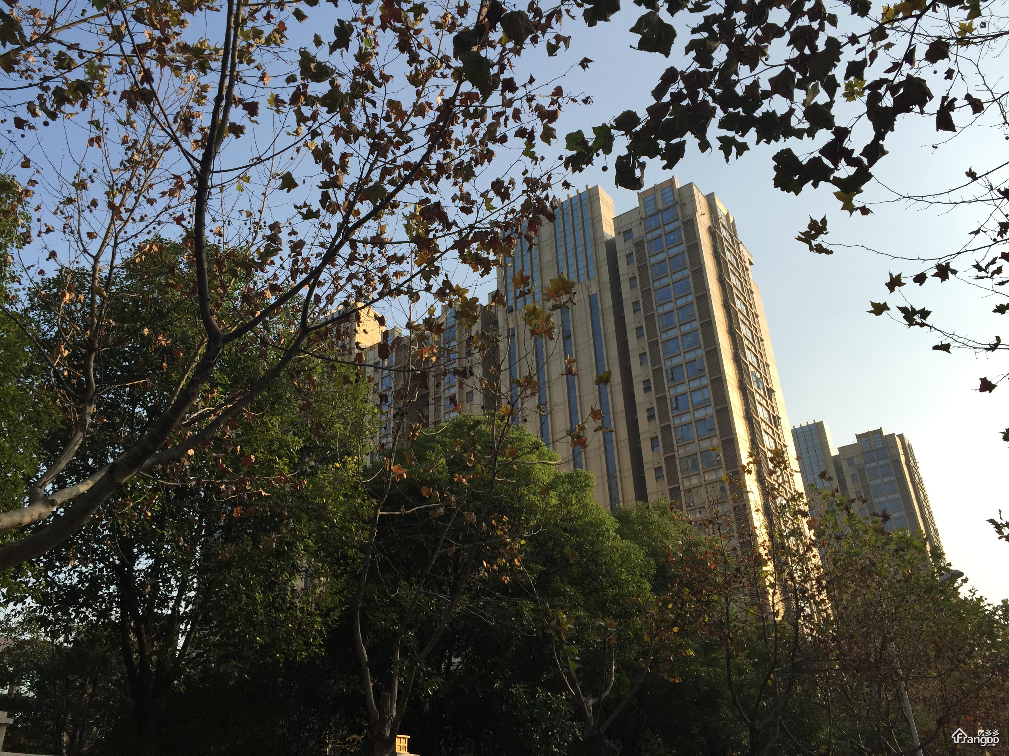 栖庭图片