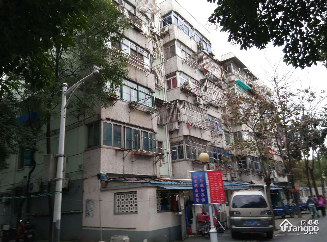 安如村图片