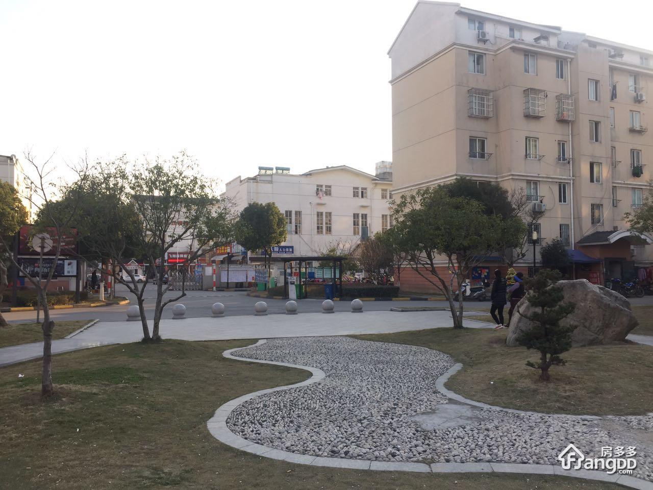 新毛家花园图片