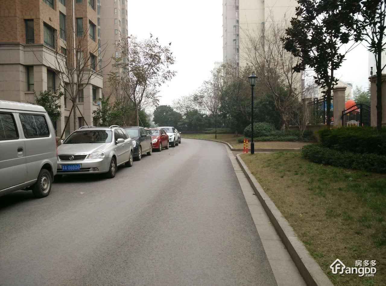 石林大公园图片