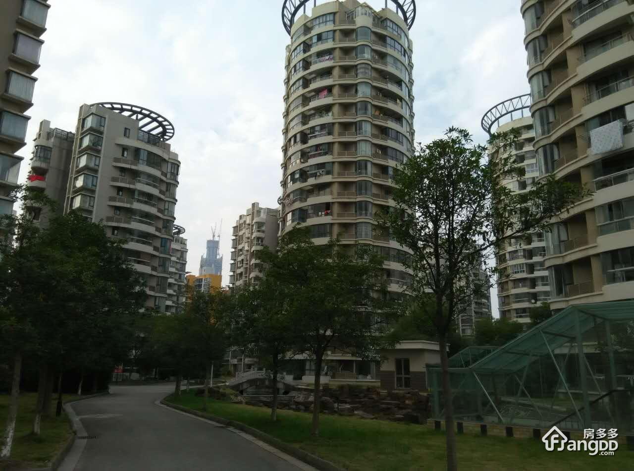东湖春之韵图片