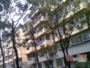凌兆三村小区图片