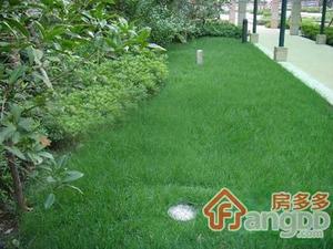 制造局路646弄小区图片