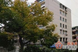 眉州路100弄小区图片