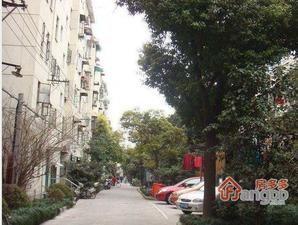 龙江路130弄小区图片