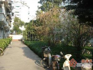 锦西路63弄小区图片