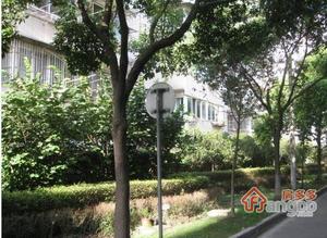 洛川中路952弄小区图片