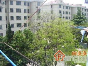 双拥小区小区图片