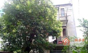 淮海中路1390弄小区图片