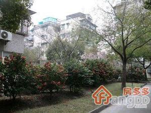 共和新路1873弄小区图片