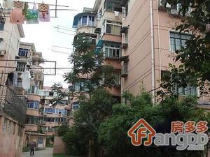 三泉路424弄小区图片