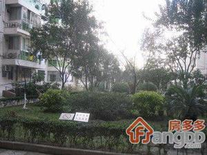 丽园公寓小区图片
