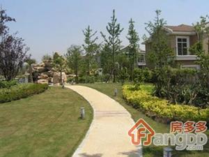 紫金名苑小区图片