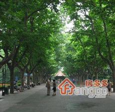 襄阳北路44弄小区图片