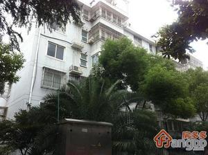 西北新村小区图片