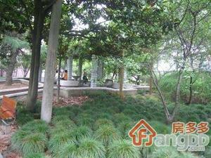 沪闵路315弄小区图片
