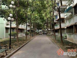 白兰园小区图片