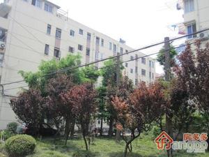 光新路129弄小区图片
