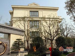 合生前滩一号(别墅)小区图片