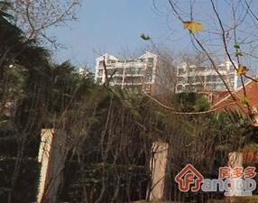 延安西路970弄小区图片