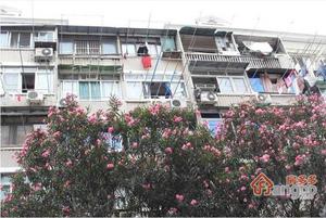 定西路419弄小区图片
