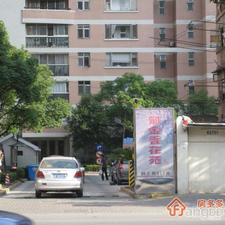 郁金香花苑小区图片