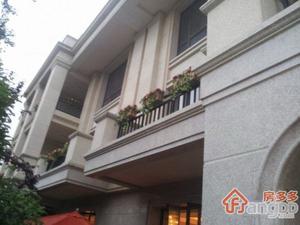 合生前滩一号(公寓)小区图片