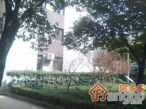 光新大楼小区图片