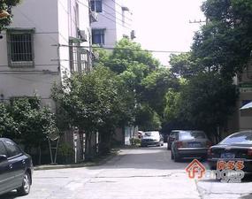 宝林路50弄小区图片