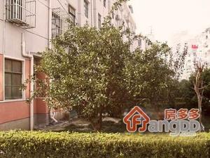 车站新村(奉贤)小区图片