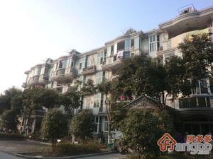 新大洲华新家苑小区图片
