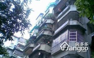 紫玉大街小区图片