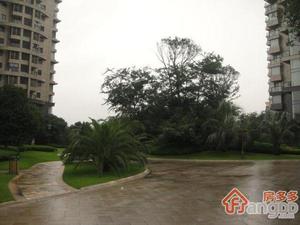 金色海岸小区图片